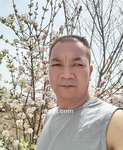 龙行天下的头像