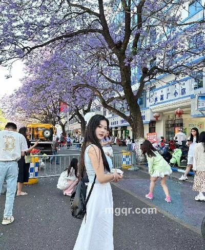 柔美的月光的头像