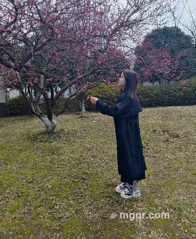 来不及遇见