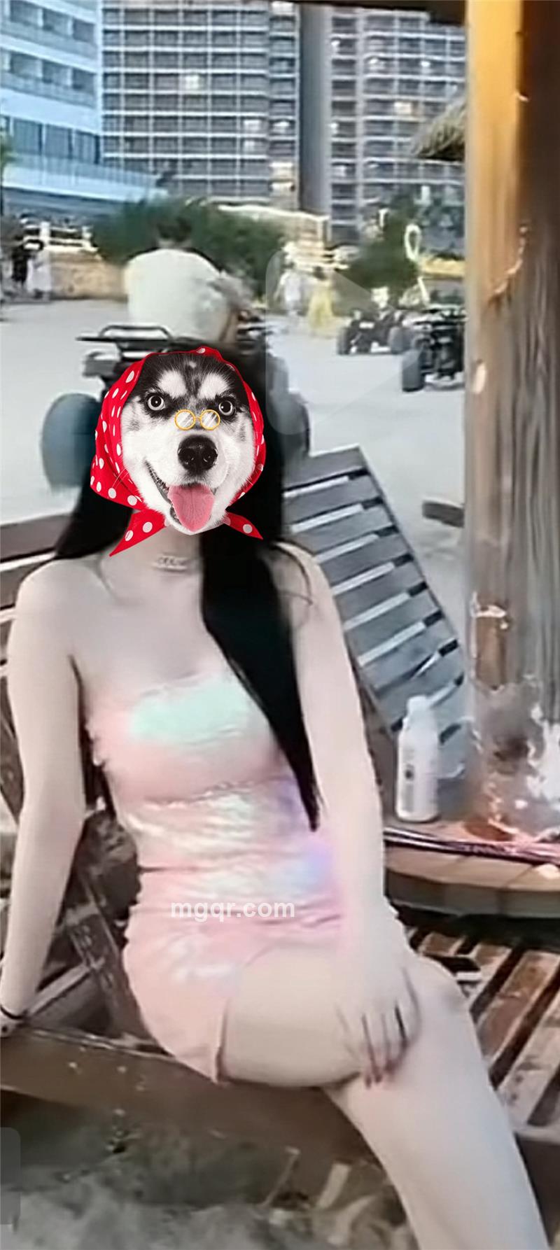 可儿的头像