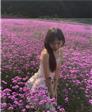会员5376751的头像