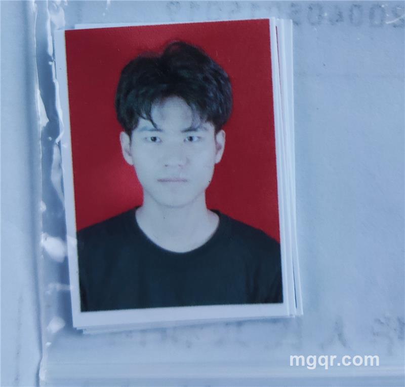 会说话的猫的头像