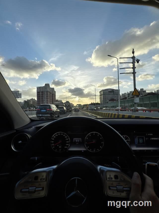 一只被遗弃的小羊