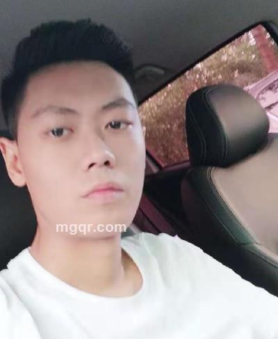 路遥知马力的头像