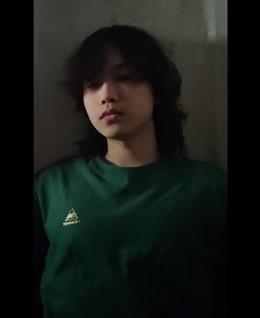 煎茶奶绿的头像