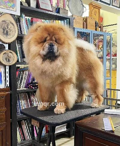 喜欢你没道理的头像