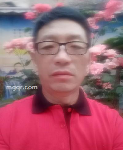 知已难觅的头像