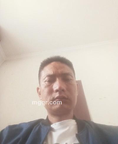 梦回大唐的头像