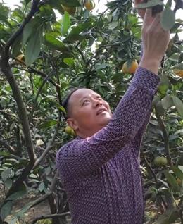 会员5449497的头像