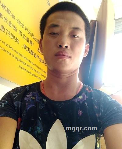 张佳帅的头像
