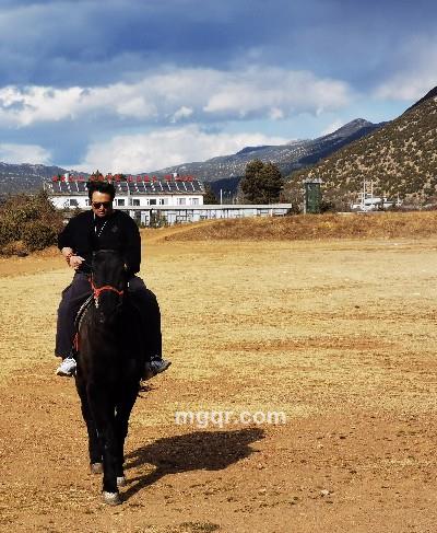 没心没肺的头像