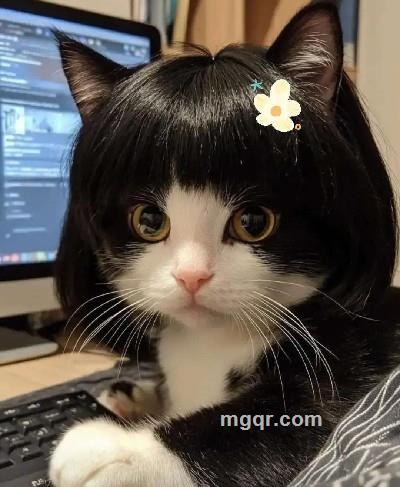 少年锦时的头像