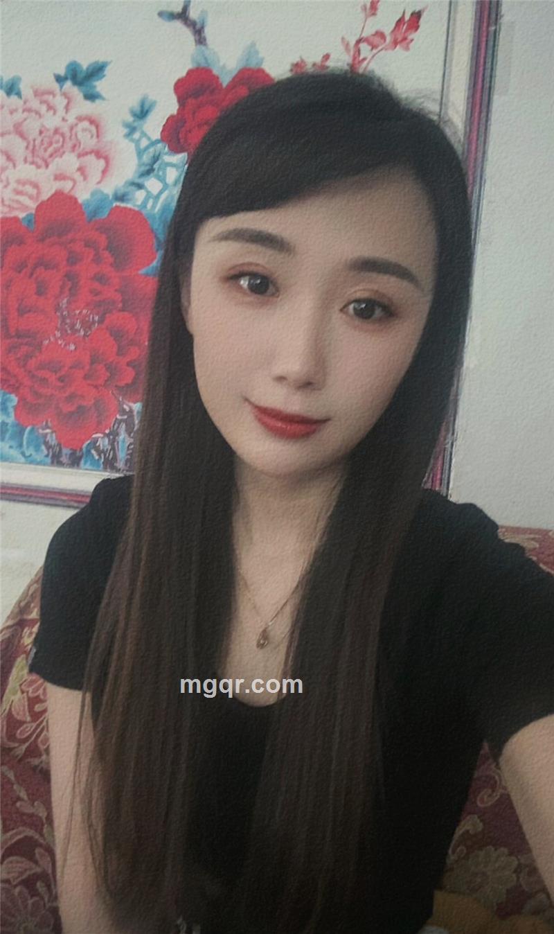 猫与红玫瑰的头像