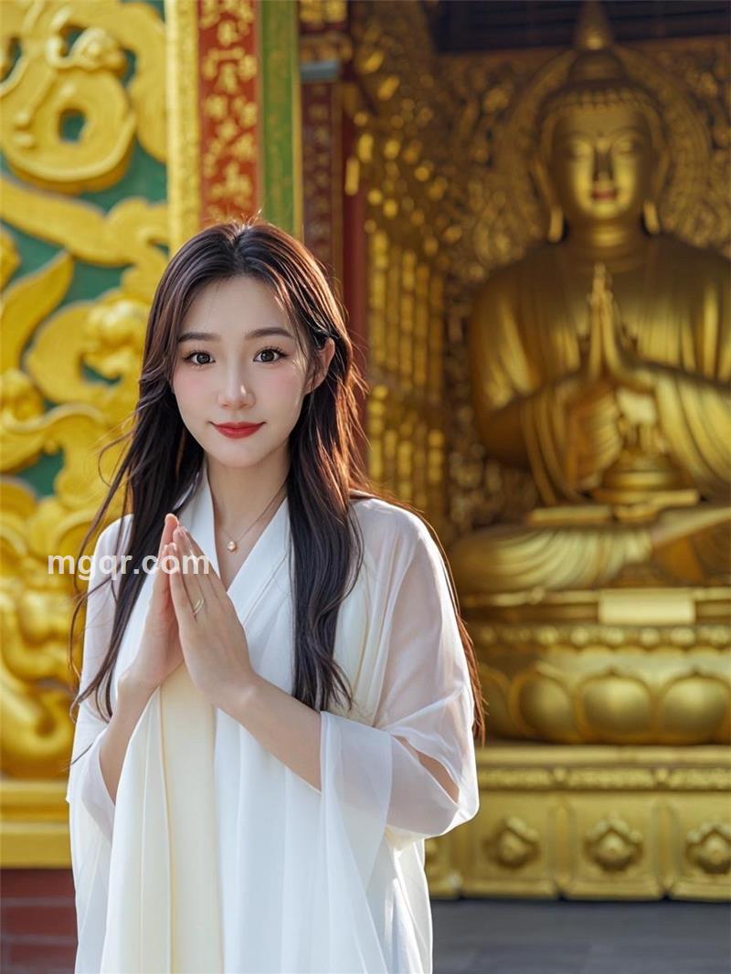 海豚听风的头像