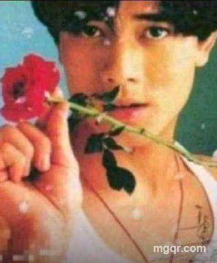 花开申城的头像