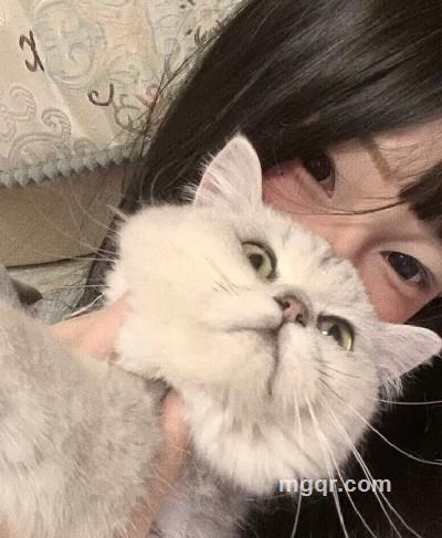 会员5465606的头像