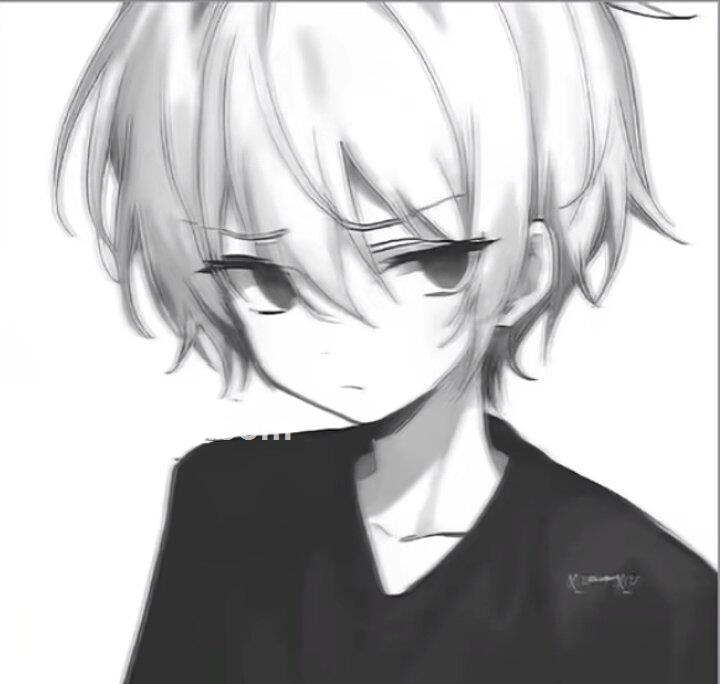 枳夏与阳的头像