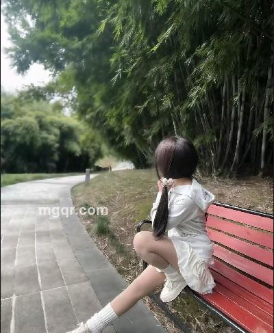 四叶草的头像