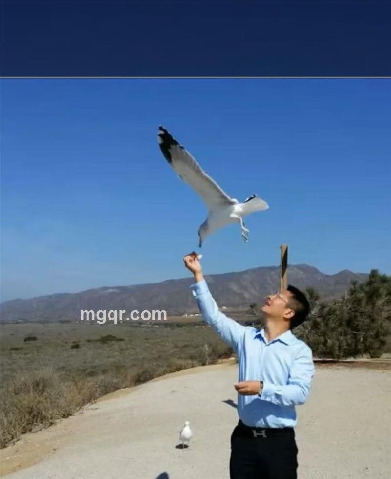宝马男爵的头像