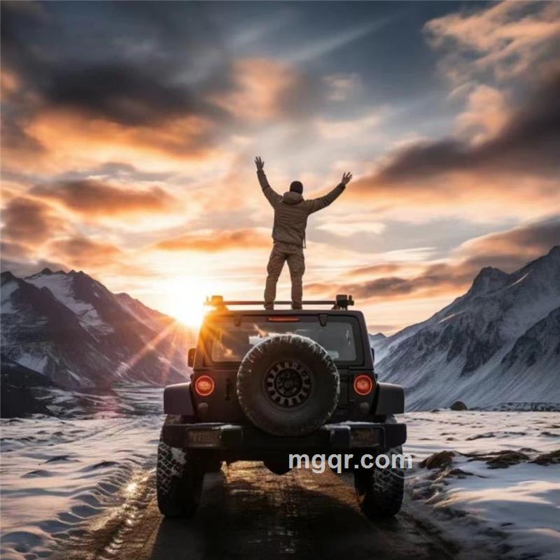 飞翔的小猪的头像