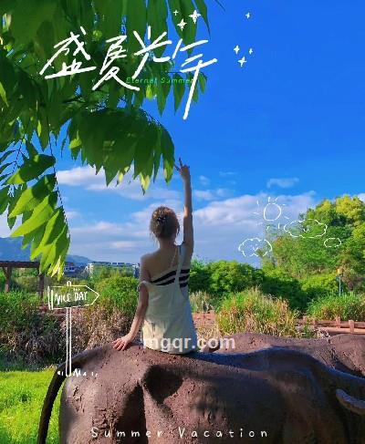 杨大大的头像