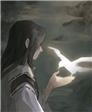 喜欢就好
