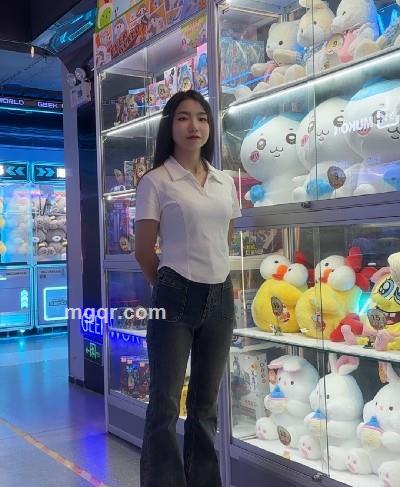 座椅上的蚂蚁的头像