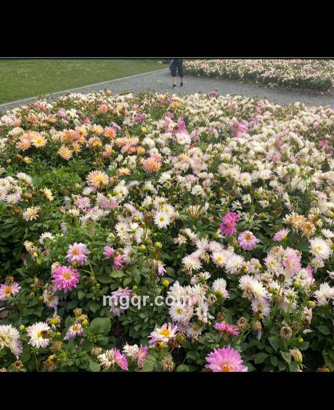 溜达溜达不行吗的头像