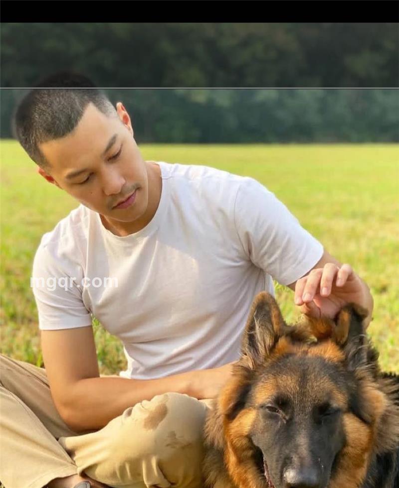 随风飘扬的头像