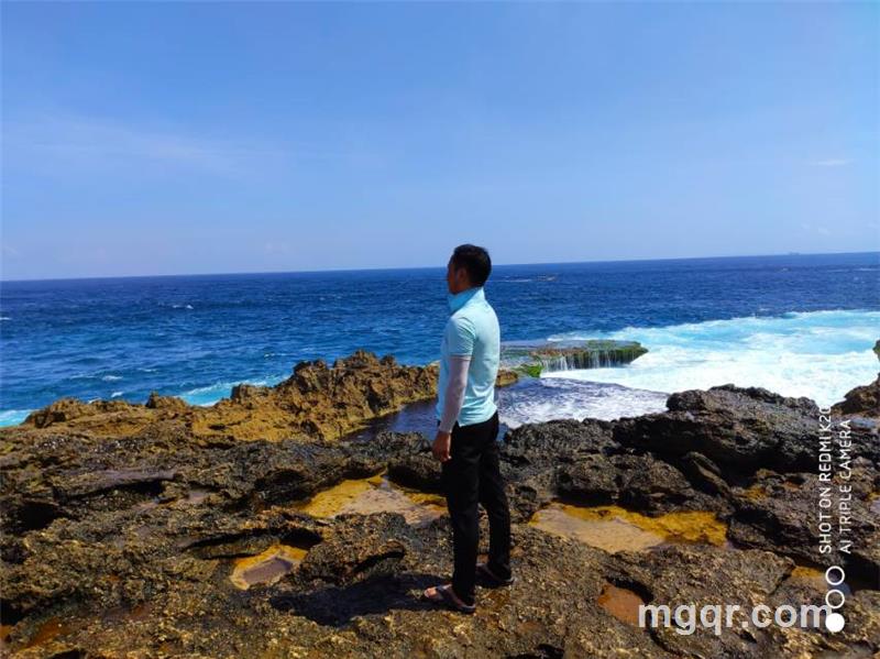 小楼又东风的头像