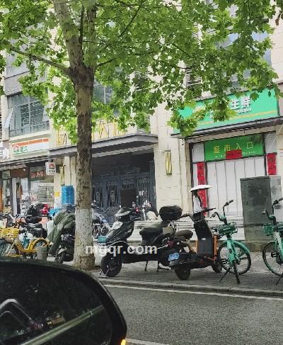 静待的头像