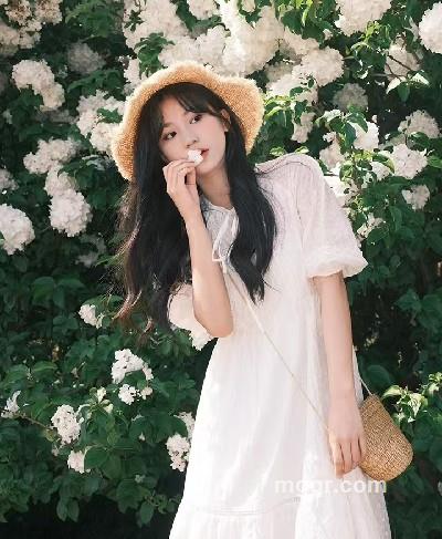 迷鹿小兰花的头像