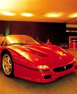 大山老鹰的头像