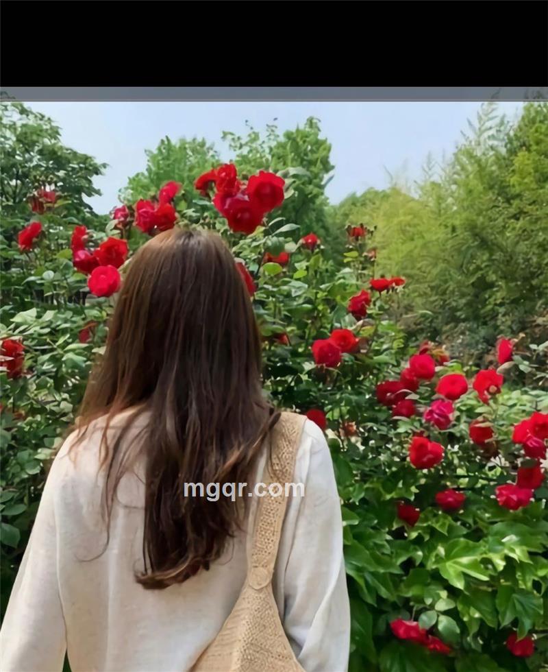 小幸运的头像