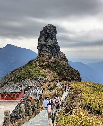 风采依旧的头像