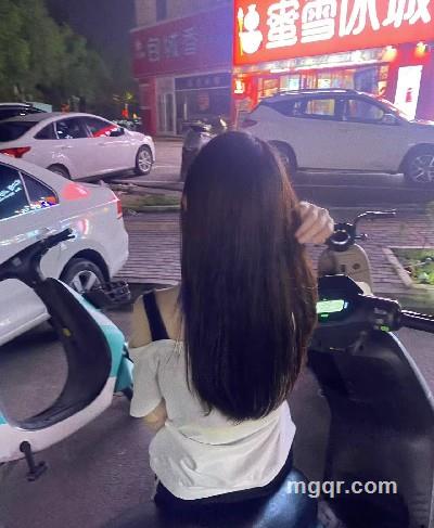 爱吃鱼的猫