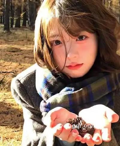 笨蛋的头像