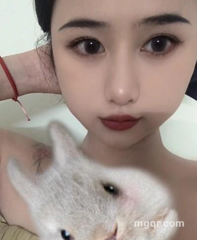 cat的头像
