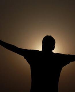 《情意》的头像