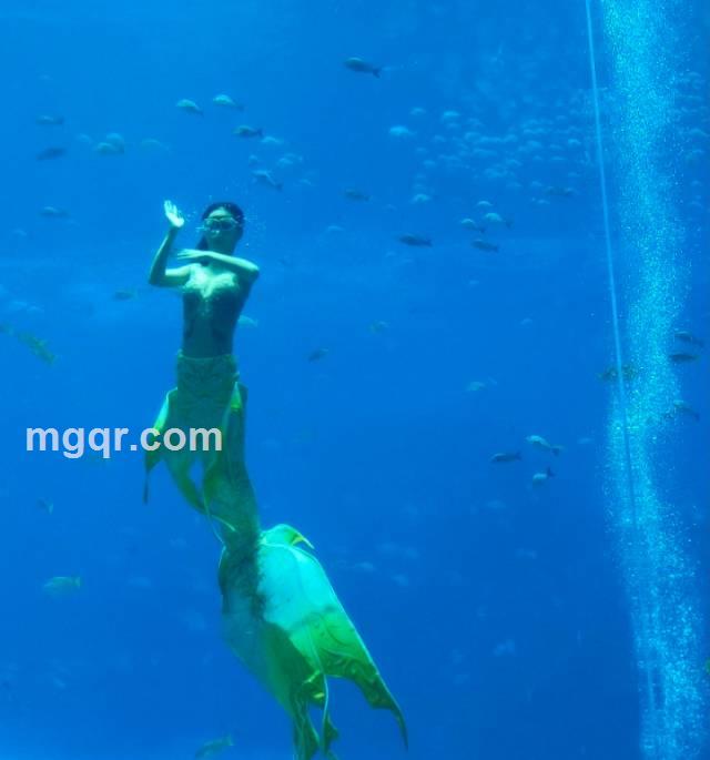 HONEY5493849的头像