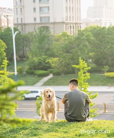 1的头像