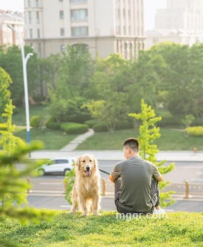 江涛的头像