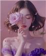 花物语的头像