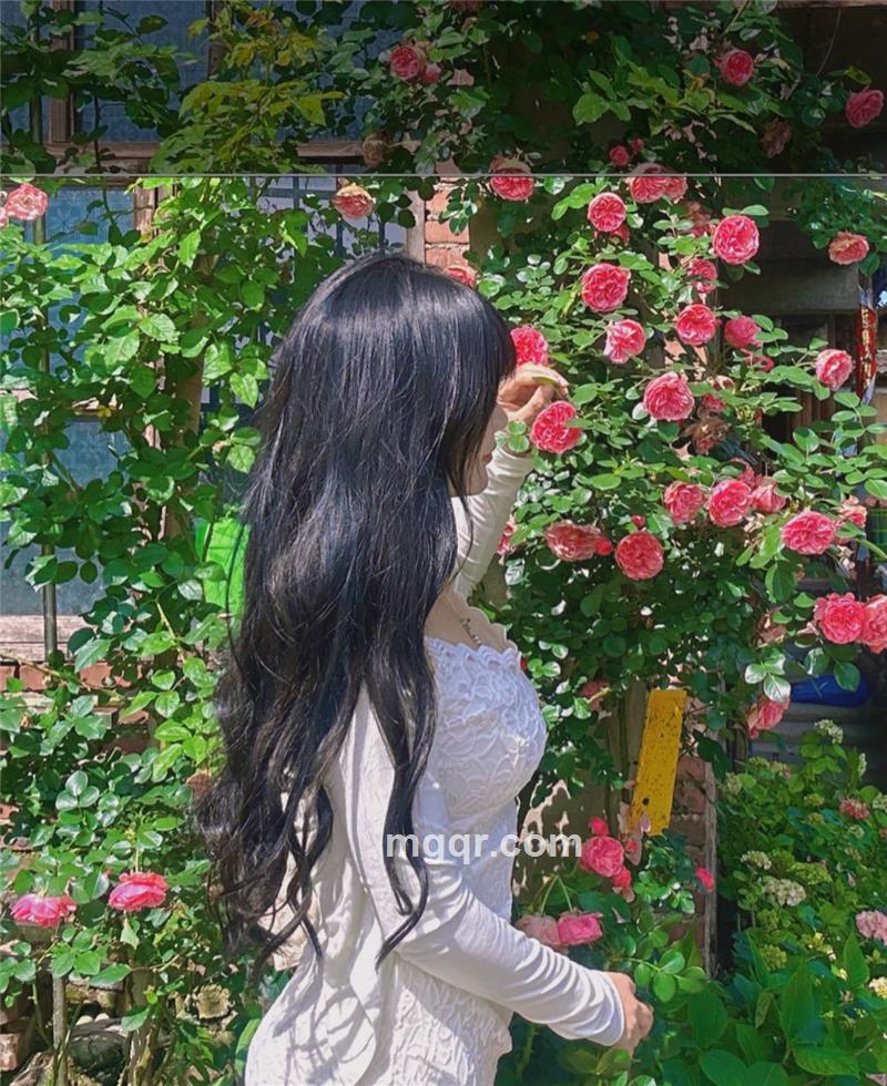 阿青的青的头像