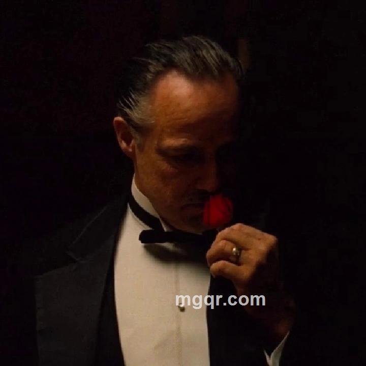 可喜可乐的头像