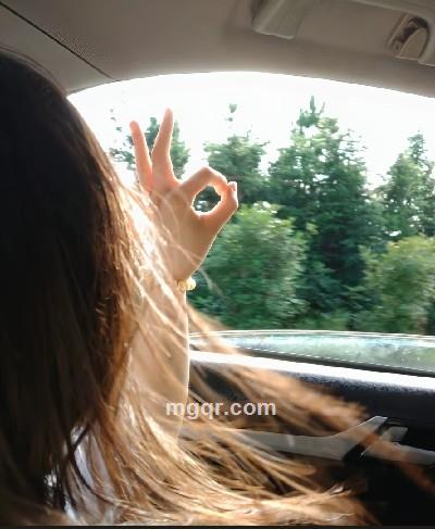 不掉毛的猫的头像