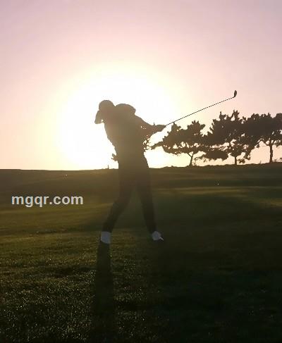 温暖臂湾的头像