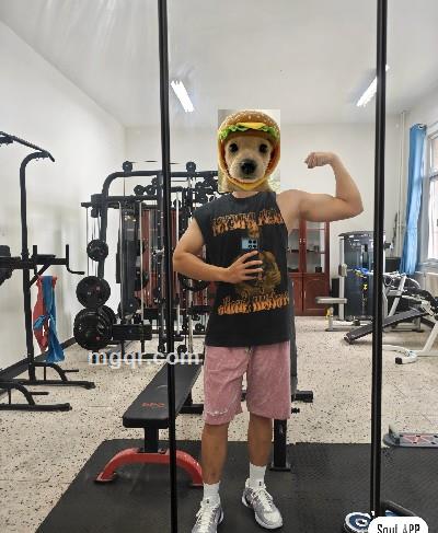 会员5509215的头像