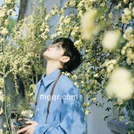 随心飞扬的头像