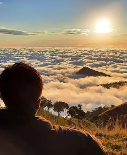 诓语莫言的头像